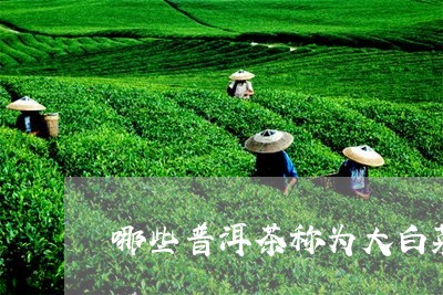 哪些普洱茶称为大白菜/2023063049404