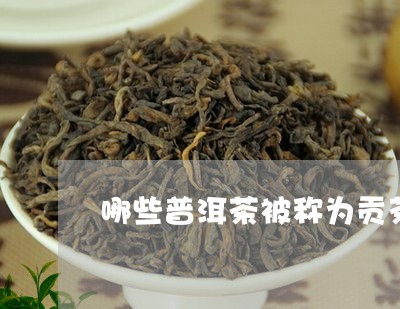 哪些普洱茶被称为贡茶/2023100765840