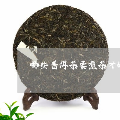 哪些普洱茶要煮茶才好喝/2023112872813