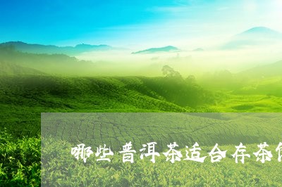 哪些普洱茶适合存茶饼/2023121541606