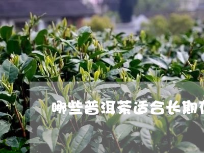 哪些普洱茶适合长期存/2023100571825