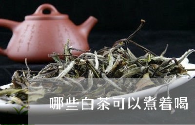 哪些白茶可以煮着喝/2023121817460