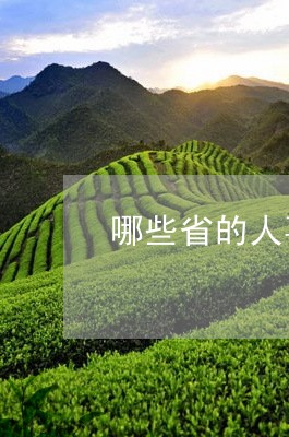 哪些省的人喜欢普洱茶/2023100657382