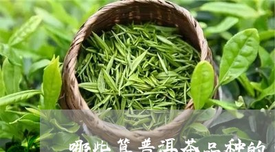 哪些算普洱茶品种的名称/2023103175248