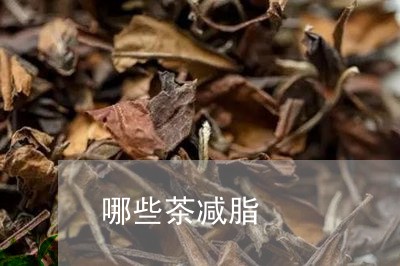 哪些茶减脂/2023121916936