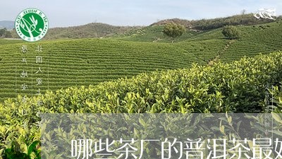 哪些茶厂的普洱茶最好/2023063044838