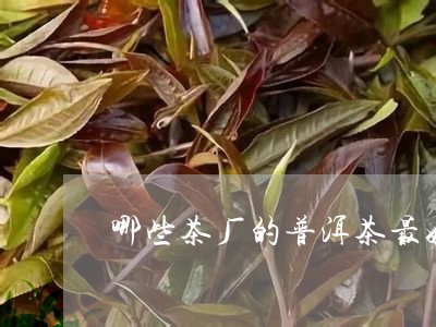 哪些茶厂的普洱茶最好排名/2023082986348