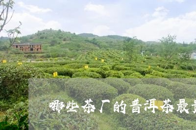 哪些茶厂的普洱茶最贵/2023110525049