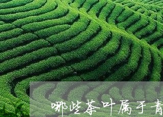 哪些茶叶属于青茶系列/2023061269623