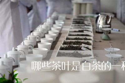 哪些茶叶是白茶的一种/2023092837482