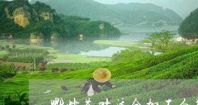 哪些茶叶适合加工白茶/2023092895930