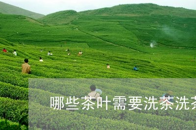 哪些茶叶需要洗茶洗茶用多少度的水/2023060493030