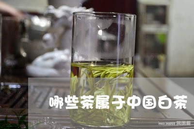 哪些茶属于中国白茶/2023121825271