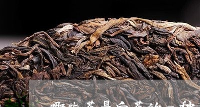 哪些茶是白茶的一种/2023081406369