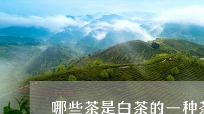 哪些茶是白茶的一种茶/2023092857370