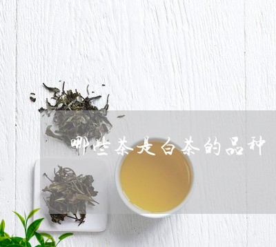 哪些茶是白茶的品种/2023121893059