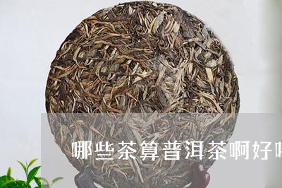 哪些茶算普洱茶啊好喝一点/2023112429597