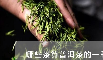 哪些茶算普洱茶的一种类型/2023121579684