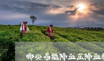 哪些茶能降血压降血脂/2023071316349