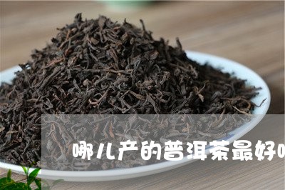 哪儿产的普洱茶最好喝/2023110519205