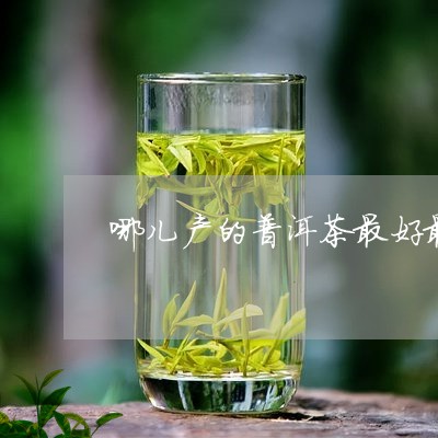 哪儿产的普洱茶最好最正宗/2023082978460