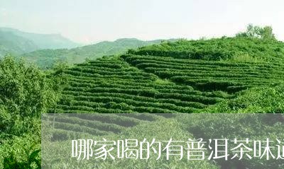 哪家喝的有普洱茶味道的茶叶/2023082901582