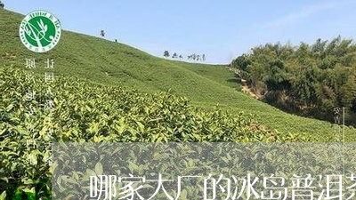 哪家大厂的冰岛普洱茶/2023092579616