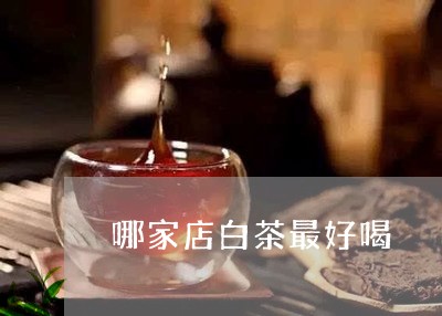 哪家店白茶最好喝/2023111538383