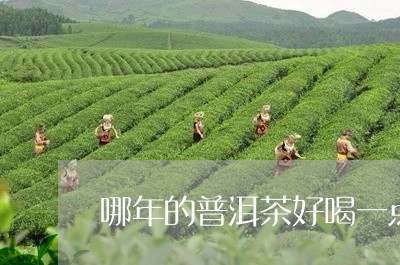 哪年的普洱茶好喝一点/2023120776068