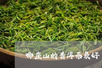 哪座山的普洱茶最好/2023091588179