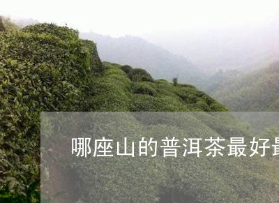 哪座山的普洱茶最好最贵/2023082972948