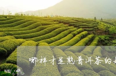 哪样才是熟普洱茶的好茶头/2023121567257