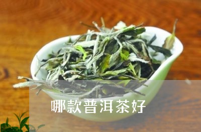 哪款普洱茶好/2023042963693