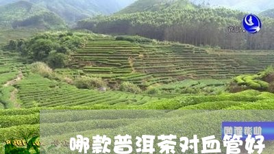 哪款普洱茶对血管好/2023120500595