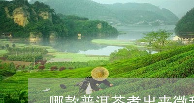 哪款普洱茶煮出来微甜好喝/2023112827248