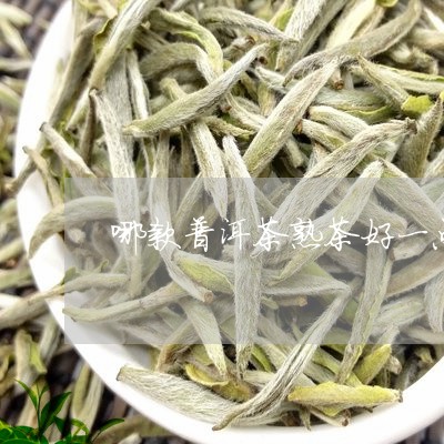 哪款普洱茶熟茶好一点的/2023110348372