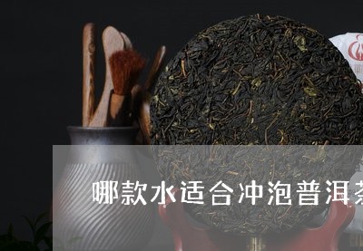 哪款水适合冲泡普洱茶/2023092730704