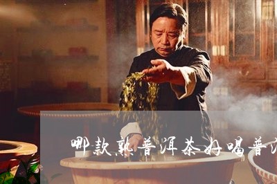 哪款熟普洱茶好喝普洱茶二三线品牌/2023060349704