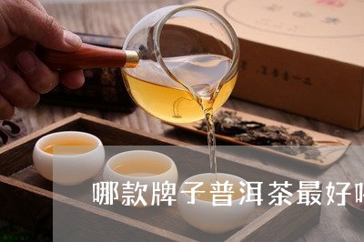 哪款牌子普洱茶最好喝的/2023110165958