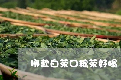 哪款白茶口粮茶好喝/2023071753715