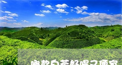 哪款白茶好喝又便宜/2023071765058