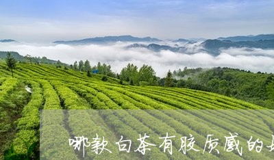 哪款白茶有胶质感的好/2023092828461