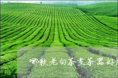 哪款老白茶煮茶器好用/2023092831506