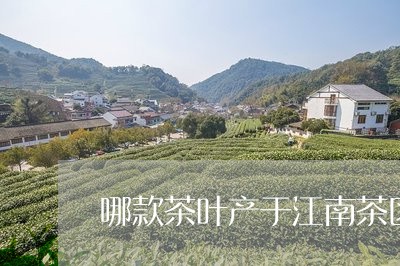 哪款茶叶产于江南茶区/2023061043606