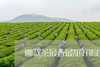 哪款茶最香最甜好喝的普洱茶/2023082982950