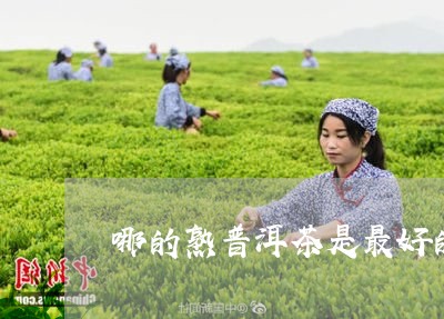 哪的熟普洱茶是最好的/2023092995950