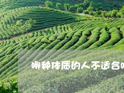 哪种体质的人不适合喝老陈皮白茶/2023111413947