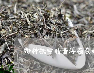 哪种数字的普洱茶最好/2023092949382