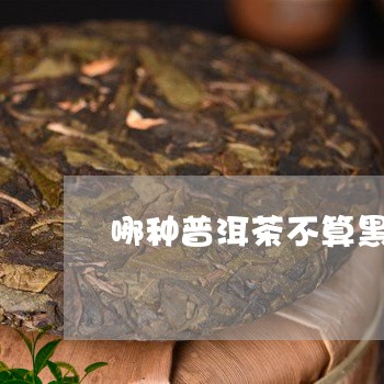 哪种普洱茶不算黑茶的一种/2023121518379