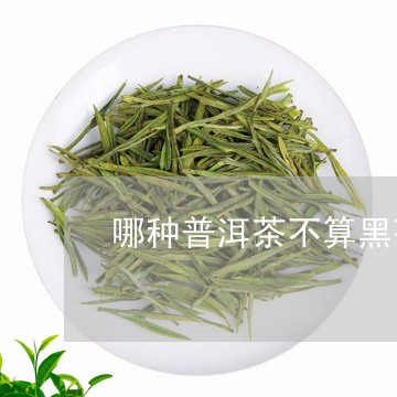 哪种普洱茶不算黑茶类/2023063006147